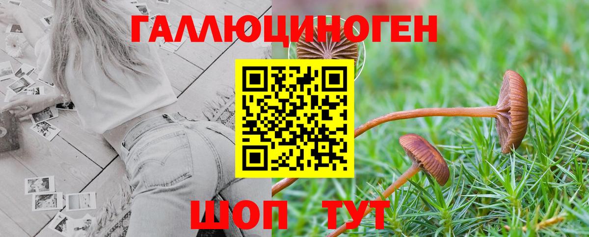 Черняховск  Галлюциногенные грибы Magic Shrooms  Вход с VPN 